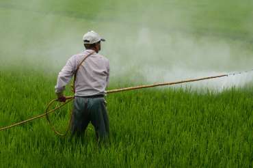 El uso de pesticidas y su impacto en la salud animal