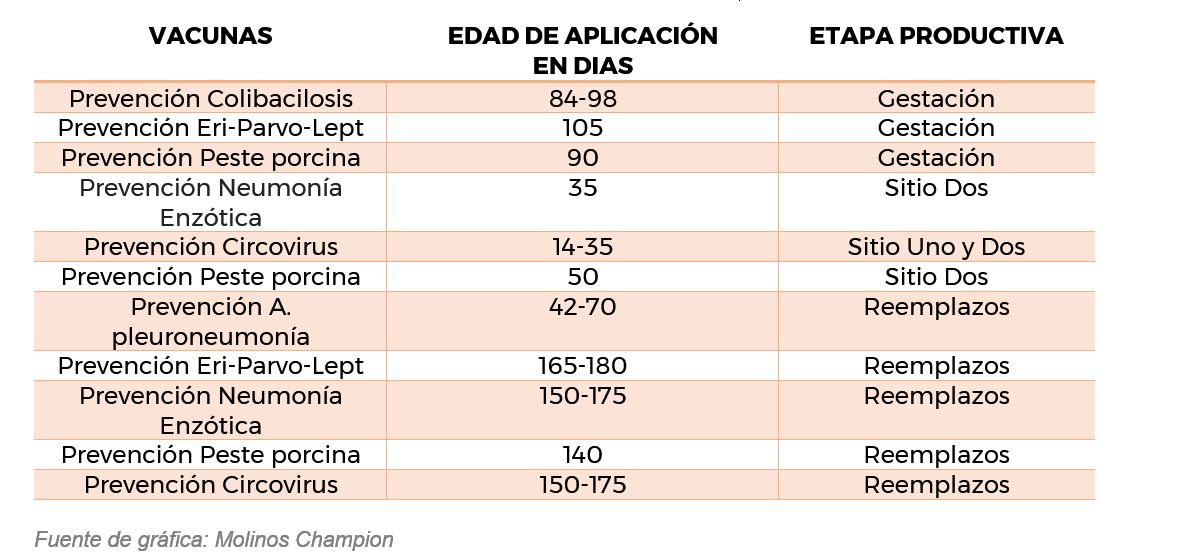 PLAN DE VACUNACION DE CERDOS