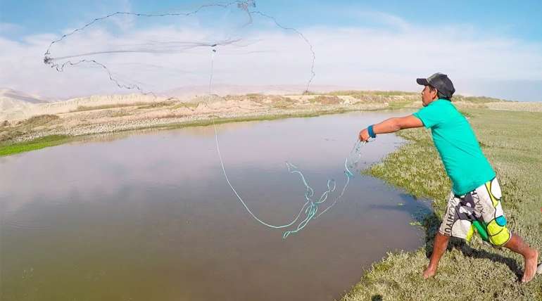 Factores esenciales en la camaronicultura en aguas de baja salinidad