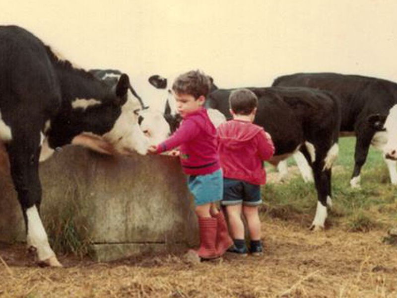 abrazar vacas niños