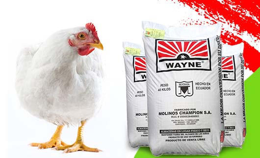 Finalizador pollo de engorde Wayne